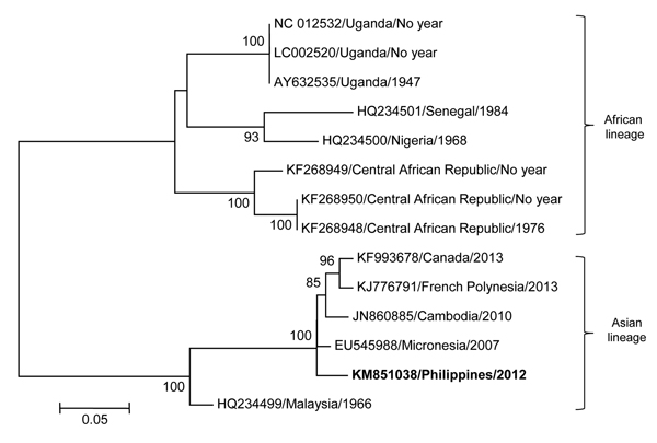 Maximum likelihood phylogenetic tree of fragments of Zika virus was determined using the general time-reversible plus gamma distribution plus invariable site (GTR + Γ + I) model with 13 reference Zika virus strains from GenBank. The contig sequence, obtained from de novo assembly and blastn (http://blast.ncbi.nlm.nih.gov/Blast.cgi?PROGRAM=blastn&amp;PAGE_TYPE=BlastSearch&amp;LINK_LOC=blasthome), of the Philippines isolate from 2012 (GenBank accession no. KM851038; bold font) was analyzed against