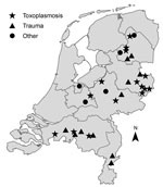 Thumbnail of Spatial distribution of wild red squirrels (Sciurus vulgaris) investigated for Toxoplasma gondii and classified by cause of death, the Netherlands, 2014.