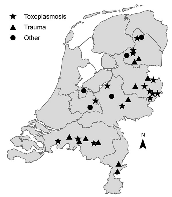 Spatial distribution of wild red squirrels (Sciurus vulgaris) investigated for Toxoplasma gondii and classified by cause of death, the Netherlands, 2014.