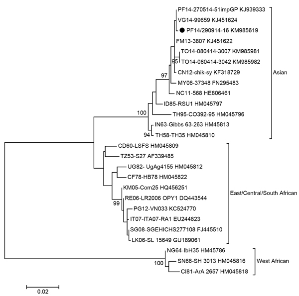 Phylogenetic analysis of chikungunya virus strain isolated in French Polynesia on September 29, 2014. The evolutionary history was inferred by using the maximum-likelihood method based on the Kimura 2-parameter model. The percentage of trees in which the associated taxa clustered together is shown for values &gt;90 next to the branches (1,000 replicates). Evolutionary analyses were conducted in MEGA6 (http://www.megasoftware.net/mega.php). Each strain is labeled by country (iso country code, 2-l