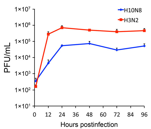 Replication of influenza A(H10N8) H10-JD346 virus in human epithelial cells. A549 cells (a human lung epithelial adenocarcinoma cell line) were infected at a multiplicity of infection of 0.1 with the H10-JD346 virus (6:2 re-assortant with the backbone of PR8) and another 6:2 re-assortant virus expressing hemagglutinin and neuraminidase genes from a human influenza A(H3N2) virus (A/Wyoming/3/2003). Cells were incubated at 37°C in Dulbecco minimal essential medium containing 0.3% bovine albumin (M