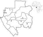 Thumbnail of Four rural (Fougamou and Lastourville), semiurban (Koulamoutou), and urban (Franceville) locations in Gabon where children &lt;15 years of age were tested for Rickettsia felis infection, April 2013–January 2014. Percentages in parentheses indicate the prevalence of R. felis infection among febrile children. Inset shows location of Gabon on the Atlantic Coast of Africa. 