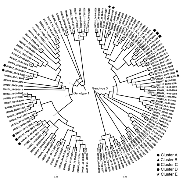 Phylogenetic trees composed of 129 sequences from 79 participants infected with hepatitis C virus genotypes (gt) 1a, 1b, or 3a, New South Wales, Australia, 2005–2012. Names on the tips of the tree represent participant identification numbers and are followed by the sample collection date. Each phylogenetic tree was generated separately from a maximum-likelihood model by using an HKY substitution model with gamma distribution. Bootstrap values are &gt;80% for all branches of identified transmissi
