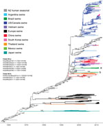 Thumbnail of Phylogenetic relationships between human and swine influenza N2 segments. Time-scaled Bayesian maximum clade credibility (MCC) tree inferred for the neuraminidase (N2) sequences of 682 viruses, including 6 swine viruses from Brazil sequenced for this study, A/swine/Brazil/185-11-7/2011(H1N2), A/swine/Brazil/232-11-13/2011(H1N2), A/swine/Brazil/232-11-14/2011(H1N2), A/swine/Brazil/31-11-1/2011(H1N2), A/swine/Brazil/355-11-6/2011(H3N2), and A/swine/Brazil/365-11-7/2011(H3N2); 2 swine 