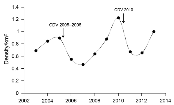 Adult and subadult Ethiopian wolf population in Sanetti Plateau, Ethiopia, 2002–2013. Dots indicate wolf population estimates at different time points; arrows indicate canine distemper virus outbreaks in this study.