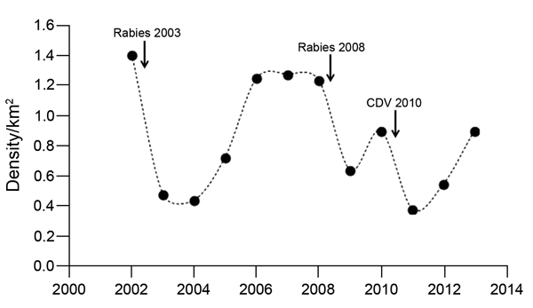 Density of adult and subadult Ethiopian wolf population in Web Valley, Ethiopia, 2002–2013. Dots indicate wolf population estimates at different time points; arrows indicate known rabies epizootics and canine distemper virus outbreaks in this study. Of 7 wolf packs in Web Valley, 4 went extinct after the 2010 canine distemper virus outbreak; in 2011, two new packs formed in the area.
