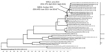 Thumbnail of Maximum clade credibility tree of 31 H5 sequences derived from the hemagglutinin gene of avian influenza viruses (1,608 nt). Sampling dates and locations are included on the tip labels; where specific dates were unknown, ‘01’ was assigned. Node labels indicate significant posterior probabilities (&gt;0.75). The dates for the most recent common ancestor (MRCA) of the currently circulating viruses circulating in Europe and Japan are indicated at the relevant nodes with 95% highest pos