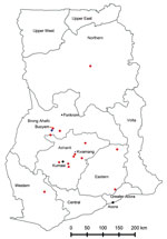 Thumbnail of Human–bat interaction study locations and provinces within Ghana, 2011–2012. Asterisks indicate the study sites, Kwamang, Forikrom, and Buoyem. Red circles indicate sources of bush meat. The main Techiman market is situated in the Techiman municipality (blue circle); this market is ≈15 km from Buoyem and is the largest and most economically active market in the Brong Ahafo region. Accra and Kumasi, the largest cities in Ghana, also receive supplies of bat meat from the Techiman mark