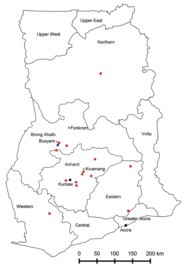 Human–bat interaction study locations and provinces within Ghana, 2011–2012. Asterisks indicate the study sites, Kwamang, Forikrom, and Buoyem. Red circles indicate sources of bush meat. The main Techiman market is situated in the Techiman municipality (blue circle); this market is ≈15 km from Buoyem and is the largest and most economically active market in the Brong Ahafo region. Accra and Kumasi, the largest cities in Ghana, also receive supplies of bat meat from the Techiman market.