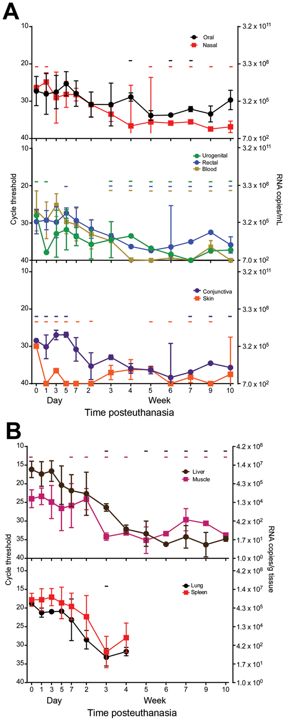 Presence and stability of Ebola virus RNA in deceased cynomolgus macaques. Swab (A) and tissue (B) specimen samples were obtained at the indicated time points, and viral RNA was isolated and used in a 1-step quantitative reverse transcription PCR with a primer/probe set specific for the nucleoprotein gene and standards consisting of known nucleoprotein gene copy numbers. Line plots show means of positive samples from 5 animals up to the 7 day time point and from 3 animals thereafter. Error bars 