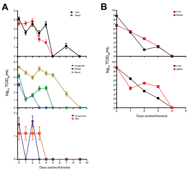 Efficiency of Ebola virus isolation from deceased cynomolgus macaques. Swab (A) and tissue (B) specimen samples were obtained at the indicated time points, and virus isolation was attempted on Vero E6 cells. Cells were inoculated in triplicate with serial dilutions of inoculum from swab specimens placed in 1 mL of medium or tissues homogenized in 1 mL of medium. The 50% tissue culture infectious dose (TCID50) was calculated by using the Spearman-Karber method (8). Line plots show means of positi