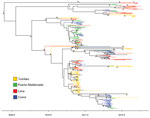 Thumbnail of Time-scaled maximum clade credibility phylogeny of hemagglutinin sequences for influenza A(H3N2) viruses from 4 locations in Peru. *Indicates posterior probabilities &gt;0.9. Scale bar refers to year of sampling to indicate time of sampling for each virus.