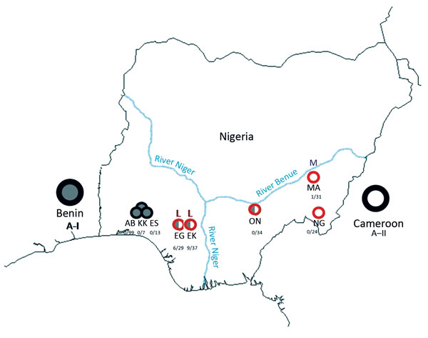 Sites at which Mastomys natalensis rodents were captured in Nigeria during January 2011–March 2013. Red circles represent sites within the Lassa fever–endemic zone; black circles represent sites outside the Lassa fever–endemic zone. Within the circles, gray indicates M. natalensis phylogroup A-I rodents; white indicates M. natalensis phylogroup A-II rodents; both colors within 1 circle indicate that rodents of both phylogroups were present at that site. Numbers under each site indicate number of