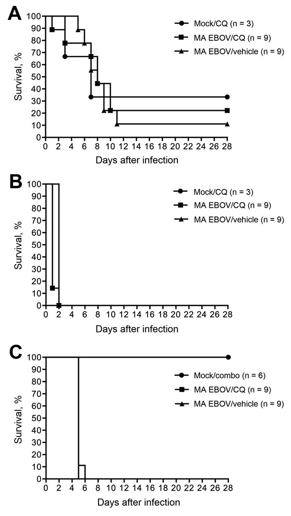 Survival of MA EBOV-inoculated mice (A) and hamsters (B) treated with CQ (90 mg/kg). C) Survival of MA EBOV–infected hamsters treated with a combination of CQ (50 mg/kg), doxycycline (2.5 mg/kg), and azithromycin (50 mg/kg). Combo, combination of chloroquine, doxycycline, and azithromycin; CQ, chloroquine; EBOV, Ebola virus; MA, mouse-adapted.