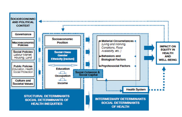 Framework for considering social disparities of health determined by the Commission on Social Determinants of Health, World Health Organization (3).