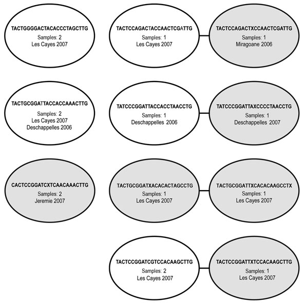 Visualization of 15 identical (same single-nucleotide polymorphism positions call at 24 of 24 positions) and nearly identical (23 of 24 identical positions) molecular barcodes from 42 monogenomic samples from patients in the municipalities of Les Cayes, Deschappelles, and Jeremie in Haiti, 2006 and 2007. Each node (oval) represents an individual barcode. Samples with identical barcodes are included in the same nodes, and related barcodes (1 single-nucleotide polymorphism positions difference) ar