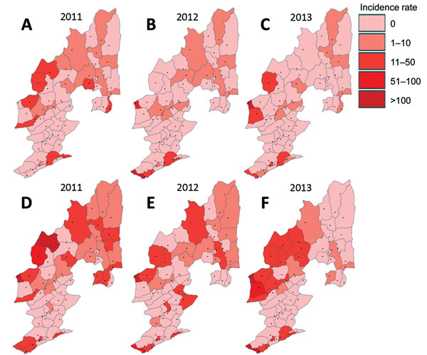 Distribution of township-level malaria incidence rate (cases per 100,000 population), Yunnan Province, China, 2011–2013. A–C) Plasmodium falciparum. D–F) P. vivax.