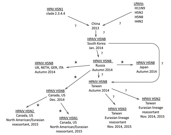 Genealogy of subtype H5N8 HPAIV, its spread from China to other countries, and its evolution in wild birds. Stars represent probable spread of virus and/or reassortment in wild birds; question marks indicate unknown mode. GER, Germany; HPAIV, highly pathogenic avian influenza virus; ITA, Italy; LPAIVs, low pathogenicity avian influenza viruses; Neth, the Netherlands; UK, United Kingdom; US, United States.