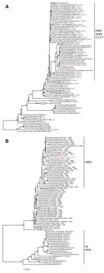 Thumbnail of Maximum likelihood phylogenetic trees of the A) hemagglutinin and B) polymerase basic 2 gene segments of highly pathogenic avian influenza A(H5N1) virus from poultry in Nigeria, 2015 (in red). Bootstrap values (100 replicates) &gt;60 are shown at the nodes. 