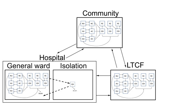 Transitions between settings (hospital, LTCF, and the non–healthcare community) for model structure of Clostridium difficile infection (CDI). Transitions were parameterized at demographically calibrated, age-specific rates. Hospitalized patients with CDI who were given a diagnosis are subject to enhanced isolation protocols that reduce transmission. All hospitalized CDI patients are discharged at a slower rate than non–CDI patients, which reflects longer hospitalization attributable to CDI. N, p