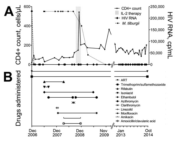 Laboratory findings and drug treatment regimen over time for an HIV-infected patient with disseminated Mycobacterium tilburgii infection, December 2006–October 2014. Top graph shows CD4+ T cell count, HIV viral load, and use of interleukin-2 (IL-2; gray shading). Bottom graph shows antimycobacterial drug combinations, antiretroviral therapy (ART), and trimethorprim/sulfamethoxazole prophylaxis.