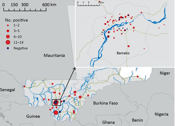 Locations of origin for 100 specimens analyzed in this study (95 with positive results and 5 with negative results) submitted for rabies virus diagnosis, Mali, 2002–2013. Inst shows closer view of the area near the capital city of Bamako.