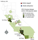 Thumbnail of Invasive Aedes mosquitoes detected during 2011–2015 and number of imported human cases of dengue, chikungunya fever, or both reported during 2014 in counties in California, USA.
