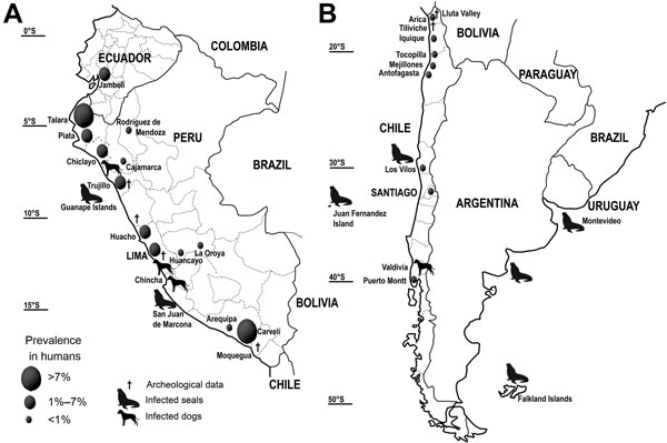 Distribution of the Adenocephalus pacificus Pacific broad tapeworm among humans and wild animals on the A) northern and B) southern Pacific coast of South America. 