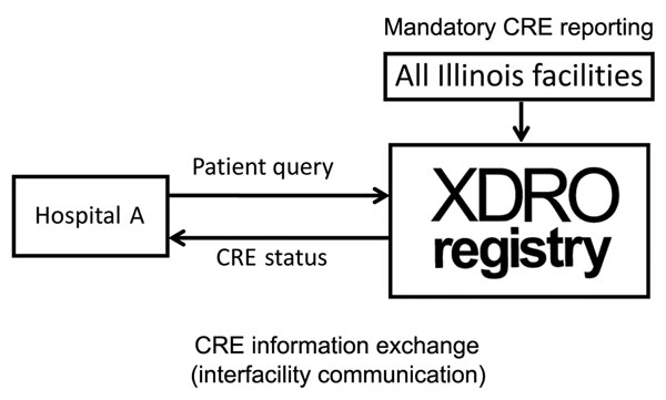 Conceptual framework of the XDRO registry, Illinois, USA. XDRO, extensively drug-resistant organism.