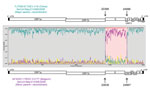 Thumbnail of Potential recombination points in the SeCoV strains in study of swine enteric coronaviruses in Italy. The potential parent strains H16 (TGEV) and CV777 (PEDV) are shown in teal and purple, respectively. Arrows indicate recombinant breakpoints. PEDV, porcine epidemic diarrhea virus; TGEV, transmissible gastroenteritis virus; seCoV, swine enteric coronavirus. 