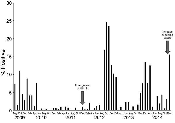 Monthly positivity rate of poultry infection with avian influenza viruses (all types), Egypt, August 2010–December 2014. A seasonal pattern is shown by sharp increases in rates during colder months (November–March). Emergence of H9N2 virus in poultry and an increase in human H5N1 cases are indicated.