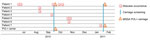 Timeline of infection and screening for PVL-positive Staphylococcus aureus case-patients and carriers. MSSA, methicillin-susceptible S. aureus; PVL, Panton-Valentin leukocidin; +, positive.