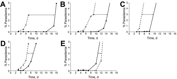 In vitro drug survival assays for Plasmodium falciparum. Representative curves for kinetic recrudescence of synchronous ring-stage parasites from F32-ART5 lineage (dashed lines) and F32-TEM lineage (solid lines) parasite cultures after a 48-h exposure to A) 11 μmol/L artemisinin; B) 62 nmol/L amodiaquine; C) 241 nmol/L mefloquine; D) 4 μmol/L pyrimethamine; and E) 7 μmol/L atovaquone. Differences in recrudescence between both parasite lines are indicated by doubled-headed arrows. 