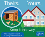 Thumbnail of A “Tips to Stay Healthy around Backyard Poultry Flocks” web graphic produced by the Centers for Disease Control and Prevention.