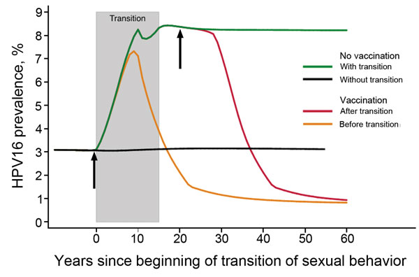 Changes in prevalence of human papillomavirus type 16 among women 20–34 years of age in relation to the number of years since the beginning of a population’s transition from traditional to gender-similar age-related sexual behavior and the introduction of vaccination among 11-year-old girls (with assumption of 70% coverage) before and after transition. Shaded area shows an assumption of a 15-year transition period. Arrows show approximate timing of vaccination occurring before or after a transit