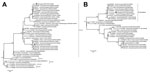 Thumbnail of Phylogenetic trees of influenza A(H5N6) virus isolate A/Guangzhou/39715/2014 compared with other influenza viruses based on the A) hemagglutinin (HA) and B) neuraminidase (NA) genes, China. Maximum-likelihood trees were constructed by using the the general time reversible plus gamma distribution plus invariant sites (GTR+G+I) model in MEGA 6.06 (http://www.megasoftware.net). Bootstrap values were calculated on 1,000 replicates; only values &gt;60% are shown. A/Guangzhou/39715/2014 a