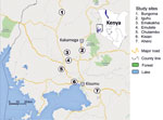 Thumbnail of Study sites (circles) for discerning the presence of pyrethroid and DDT resistance and organophosphate susceptibility among Anopheles spp. mosquitoes, western Kenya, 2012–2013. 
