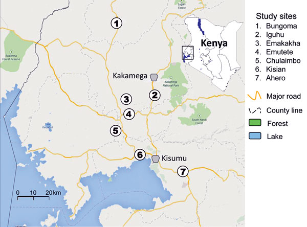 Study sites (circles) for discerning the presence of pyrethroid and DDT resistance and organophosphate susceptibility among Anopheles spp. mosquitoes, western Kenya, 2012–2013. 