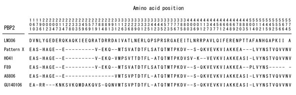 Sequences of altered amino acids in penicillin-binding protein 2 (PBP2) of Neisseria gonorrhoeae strains with decreased susceptibility to oral cephalosporins and strains with resistance to ceftriaxone. Strain GU140106 was isolated from a urethral swab sample from a man in in Nagoya, Japan, who had received fellatio, without condom use, from a female sex worker. Sequences are aligned with wild-type PBP2 derived from nucleic acid sequence of the penA gene of penicillin-susceptible N. gonorrhoeae s