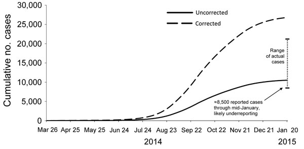 Comparison of the estimated impact of interventions on number of Ebola cases with actual cases reported, Liberia, 2014–2015. The September 2014 modeled projection curve was based on Figure 3 in Meltzer et al. (22) by using model predictions calculated assuming that interventions started on September 24, 2014. The corrected curve of projected cases is adjusted for potential underreporting by multiplying reported cases by a factor of 2.5. Actual reported cases are from World Health Organization si