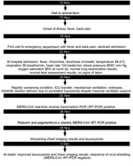 Thumbnail of Timeline of clinical events in a pregnant patient with Middle East respiratory syndrome coronavirus (MERS-CoV) infection, Abu Dhabi, United Arab Emirates, 2013. ICU, intensive care unit.