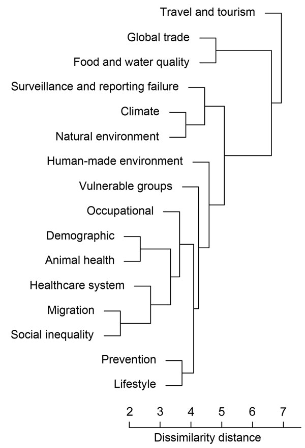 Cluster dendrogram from hierarchical cluster analysis of drivers contributing to observed infectious disease threat events (IDTEs), Europe, 2008–2013. Individual segments (leaves) on the lower part of the tree are more related to each other, as indicated by distances between the branches. Drivers below travel and tourism also occurred less often as underlying drivers of IDTEs and tended to be more contextual in nature.  Scale bar indicates dissimilarity distance for drivers, as measured by frequ