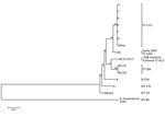 Thumbnail of Neighbor-joining tree of aligned multilocus sequence typing sequences of Burkholderia pseudomallei clinical isolates from a 2012–2013 cutaneous melioidosis cluster in the temperate southern region of Western Australia (patients A and C–G) and indistinguishable environmental isolate (saline) with sequence type (ST) 1112 and their genetic relatedness to other isolates from the Western Australian Burkholderia Collection (C30, NCTC13177, BCC25, and BCC26). Isolates from patients B and H