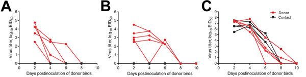 Oropharyngeal shedding of influenza A(H9N2) virus isolate A/environment/Bangladesh/9306/2010 (Env/9306) by pet birds and chickens, Bangladesh. Measurement of donor and contact bird virus shedding is based on the inoculation date of donors; donor and contact birds were kept in the same cage or enclosed environment. A) Donor finches (n = 5), B) parakeets (n = 5), or C) chickens (n = 6; red lines) were inoculated with 105 log1050% egg infectious doses (EID50) units of Env/9306 and paired with naive