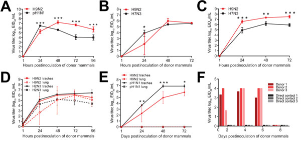 Pathogenesis of influenza A(H9N2) virus isolate A/environment/Bangladesh/9306/2010 (Env/9306) in ex vivo and in vivo mammalian models, Bangladesh. Replication kinetics of Env/9306 or a virus control are shown in A) primary normal human bronchial epithelial cells, B) primary human corneal epithelial cells, C) primary human trabecular meshwork cells, D) swine respiratory tissue explants, and E) ferret respiratory tissue explants. Error bars indicate mean + SD of the combined results of 2 individua