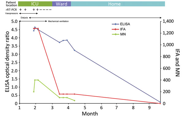Clinical and laboratory timeline for a Middle East respiratory coronavirus–infected patient with high ELISA, indirect immunofluorescent antibody (IFA), and microneutralization (MN) titers. The highest titers were measured while the patient had active infection and was critically ill. The ELISA optical density ratio and IFA and MN titers declined as the patient recovered. ICU, intensive care unit; rRT-PCR, real-time reverse transcription PCR; ward, hospital ward; −, negative; +, positive.