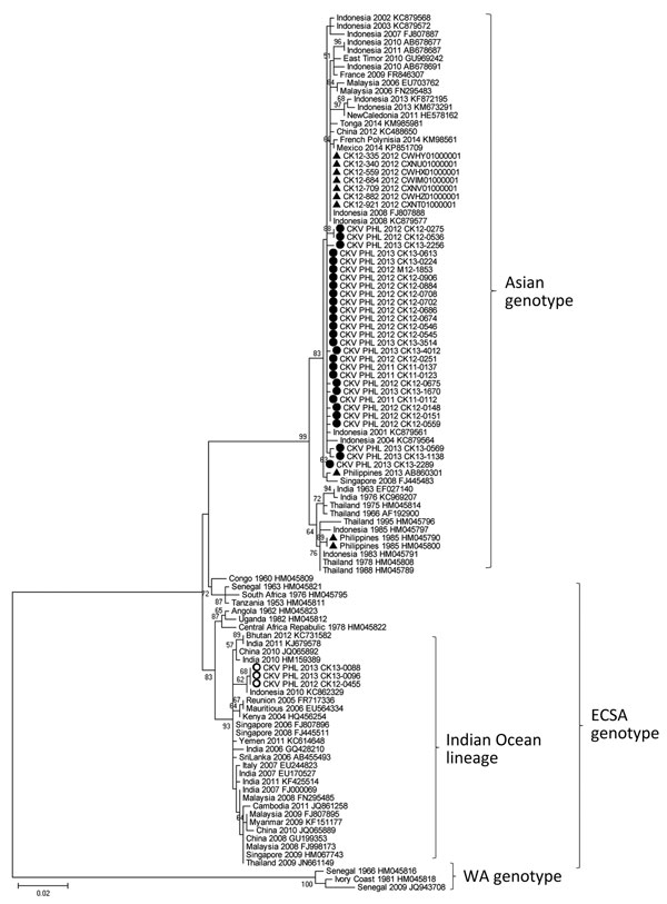 Phylogenetic analysis of partial (733 nt) E1 gene of 31 CHIKVs detected in the Philippines in this study during 2011–2013 compared with 77 global strains. The tree was constructed using maximum-likelihood method with the Kimura 2-parameter model and 1,000 bootstrap replications. Bootstrap values &gt;50% are indicated on the branches of the tree. Black circles indicate Asian genotypes; open circles indicate ECSA genotypes analyzed in this study; triangles indicate reference strains collected in t