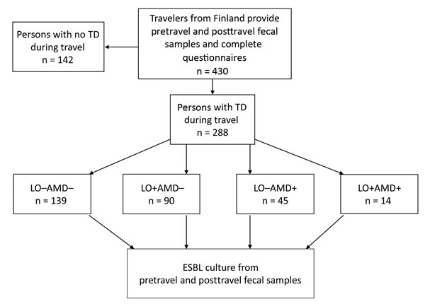 Study protocol for investigating risk for contracting ESBL-producing Enterobacteriaceae among travelers from Finland with TD. LO–AMD–, not treated with medication; LO+AMD–, treated with LO alone; LO–AMD+, treated with AMDs alone; LO+AMD+, treated with a combination of both drugs. AMD, antimicrobial drugs; ESBL, extended-spectrum β-lactamase; LO, loperamide; TD, travelers’ diarrhea.