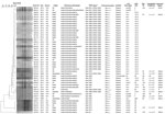 Thumbnail of Characteristics of extended-spectrum cephalosporin-resistant Salmonella enterica serovar Heidelberg isolates, the Netherlands, 1999–2013. The dendrogram was generated by using BioNumerics version 6.6 (Applied Maths, Sint-Martens-Latem, Belgium) and indicates results of a cluster analysis on the basis of XbaI–pulsed-field gel electrophoresis (PFGE) fingerprinting. Similarity between the profiles was calculated with the Dice similarity coefficient and used 1% optimization and 1% band 