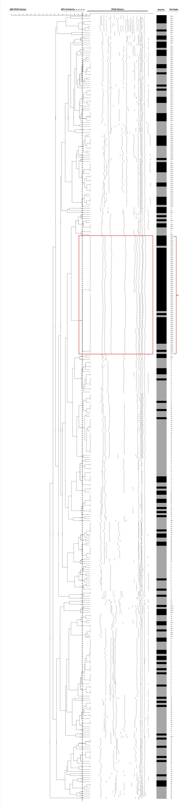 Dendrogram analysis of SmaI-digested pulsed-field gel electrophoresis fingerprints of 58 isolates of group B Streptococcus (GBS), serotype III, subtype 4 (fingerprints highlighted in red box and bracket) and of 324 randomly selected GBS isolates of different serotypes, Hong Kong, 1993–2012. The dotted vertical line on the serotype column delineates the pulsed-field gel electrophoresis clustering at 90% similarity, determined by analysis by dice coefficient with 1% tolerance and by the unweighted
